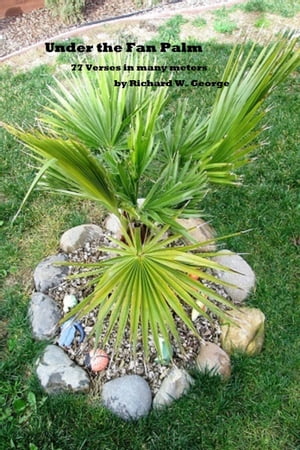 Under the Fan Palm