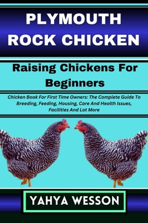 PLYMOUTH ROCK CHICKEN Raising Chickens For Beginners