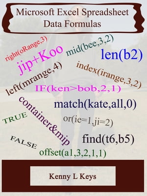 Microsoft Excel Spreadsheet Data Formulas