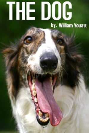 THE DOGŻҽҡ[ William Youatt ]