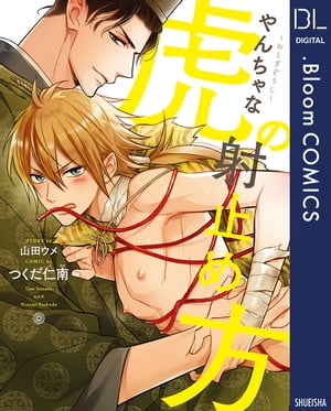 ~おとぎぞうし~やんちゃな虎の射止め方
