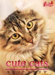 cute cats11 アメリカンカール【電子書籍】