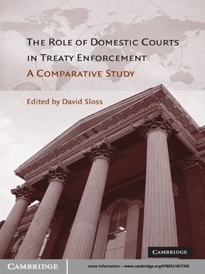 The Role of Domestic Courts in Treaty Enforcement