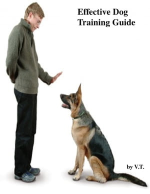 Effective Dog Training Guide