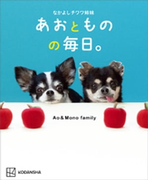 なかよしチワワ姉妹　あおとものの毎日。