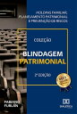 Blindagem Patrimonial Holding familiar, planejam