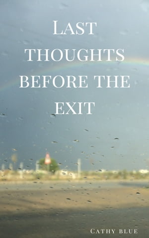 Last Thoughts Before The Exit