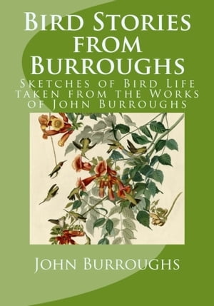 Bird Stories from Burroughs (Illustrated)