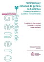 Feminismos y estudios de g?nero en Colombia Un campo acad?mico y pol?tico en movimiento