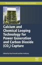 Calcium and Chemical Looping Technology for Power Generation and Carbon Dioxide ...