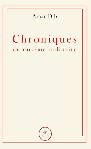 Chroniques du racisme ordinaire