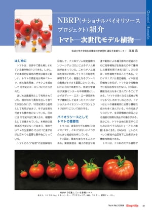 NBRP紹介 : トマトー次世代モデル植物ー