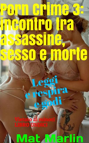 Porn Crime 3: Incontro tra assassine, sesso e morte