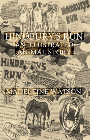 Hindbury’s Run: An Illustrated Animal Story