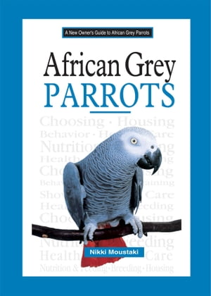 African Grey Parrots