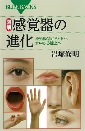図解　感覚器の進化　原始動物からヒトへ　水中から陸上へ【電子書籍】[ 岩堀修明 ]
