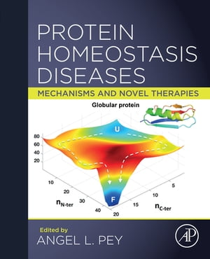 Protein Homeostasis Diseases Mechanisms and Novel Therapies
