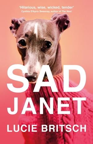 Sad Janet ‘A whip-smart, biting tragicomedy’