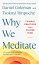 Why We Meditate