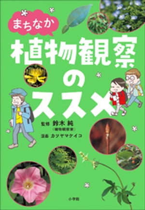 まちなか植物観察のススメ