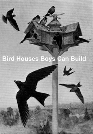 Bird Houses Boys Can Build, IllustratedŻҽҡ[ Albert Siepert ]