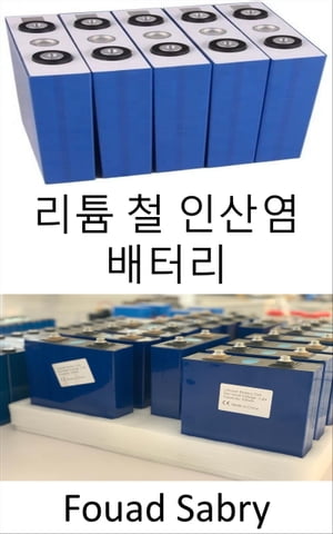 리튬 철 인산염 배터리