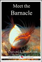 ŷKoboŻҽҥȥ㤨Meet the Barnacle: A 15-Minute Book for Early ReadersŻҽҡ[ Caitlind L. Alexander ]פβǤʤ119ߤˤʤޤ