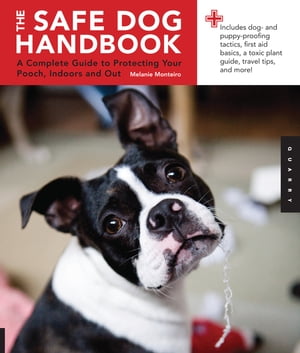 Safe Dog Handbook