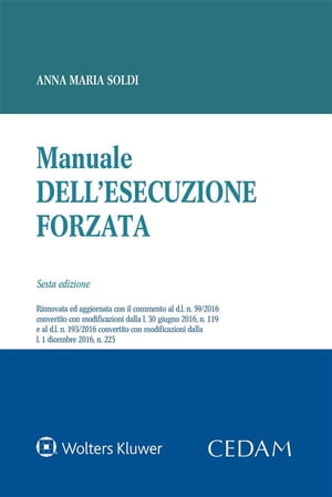 Manuale dell'esecuzione forzata