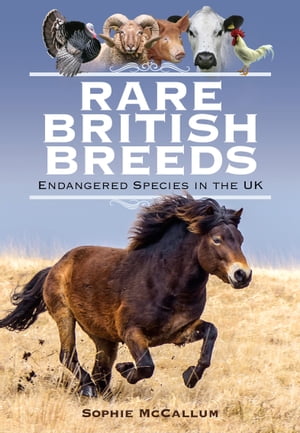 Rare British Breeds Endangered Species in the UKŻҽҡ[ Sophie McCallum ]