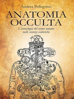 Anatomia Occulta