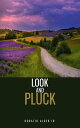 Luck and Pluck or John Oakley's Inheritance【