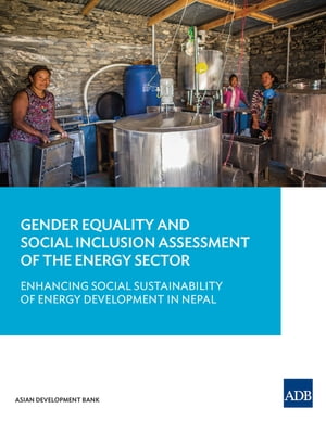 Gender Equality and Social Inclusion Assessment 