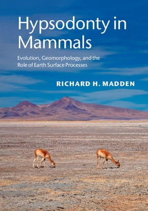 Hypsodonty in Mammals