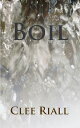 Boil (A Tori Nichols Escapade, Book 2)【電子