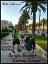 By bike through Corona-Europe 2500 miles - 60 days - 7 countries - Travel diaryŻҽҡ[ Mattis L?hmann ]