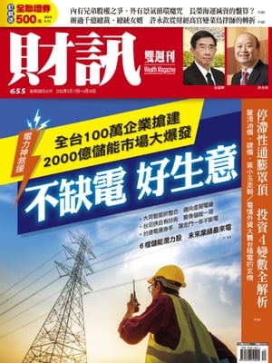 財訊雙週刊655期 不缺電 好生意