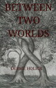 ŷKoboŻҽҥȥ㤨Between Two WorldsŻҽҡ[ Debbie Holick ]פβǤʤ1,192ߤˤʤޤ