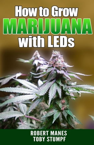 How to Grow Marijuana with LEDs