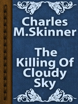 The Killing Of Cloudy Sky