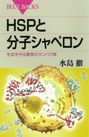 ＨＳＰと分子シャペロン　生命を守る驚異のタンパク質