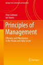 Principles of Management Efficiency and Effectiv