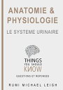 Anatomie et physiologie " Le syst?me urinaire" Things you should know (Questions and answers)