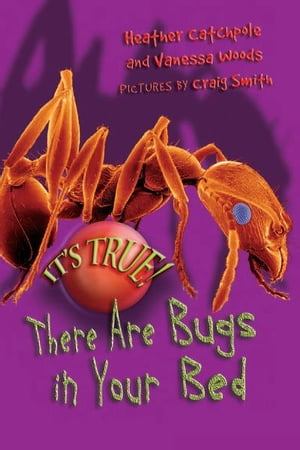 It's True! There ARE bugs in your bed (4)
