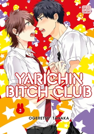 Yarichin Bitch Club, Vol. 3 (Yaoi Manga)