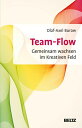 Team-Flow Gemeinsam wachsen im Kreativen Feld 電子書籍 Olaf-Axel Burow 
