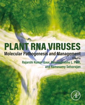 Plant RNA Viruses Molecular Pathogenesis and Management