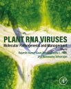 Plant RNA Viruses Molecular Pathogenesis and Management