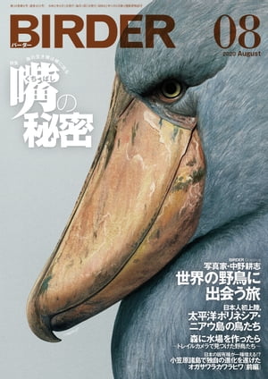 BIRDER2020年8月号