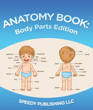 ŷKoboŻҽҥȥ㤨Anatomy Book: Body Parts Edition Children's Anatomy & Physiology Books Edition 2Żҽҡ[ Speedy Publishing ]פβǤʤ162ߤˤʤޤ
